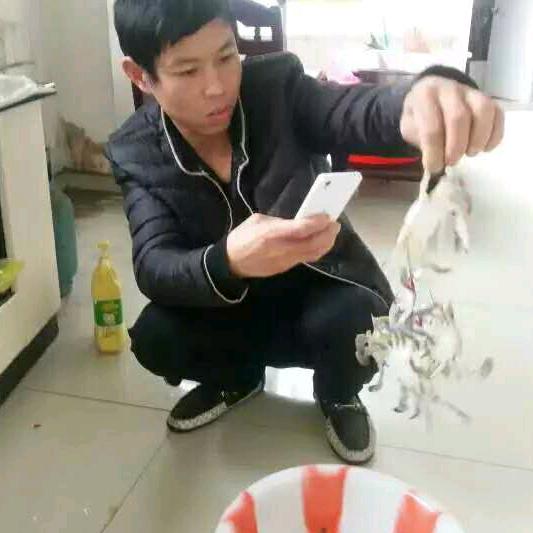 今生陪你一起走