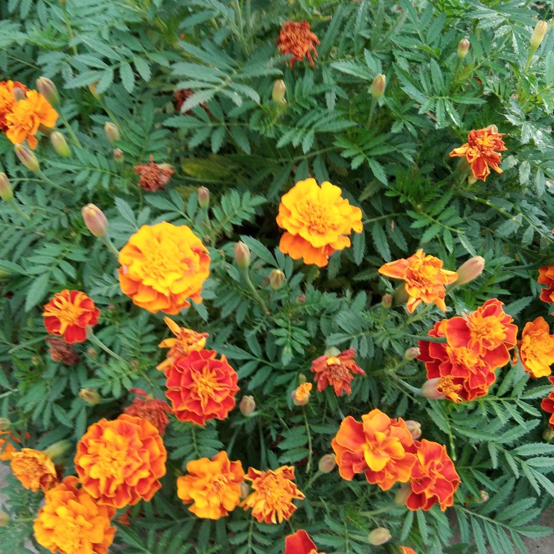 珍惜每一天🌴🌴🌴