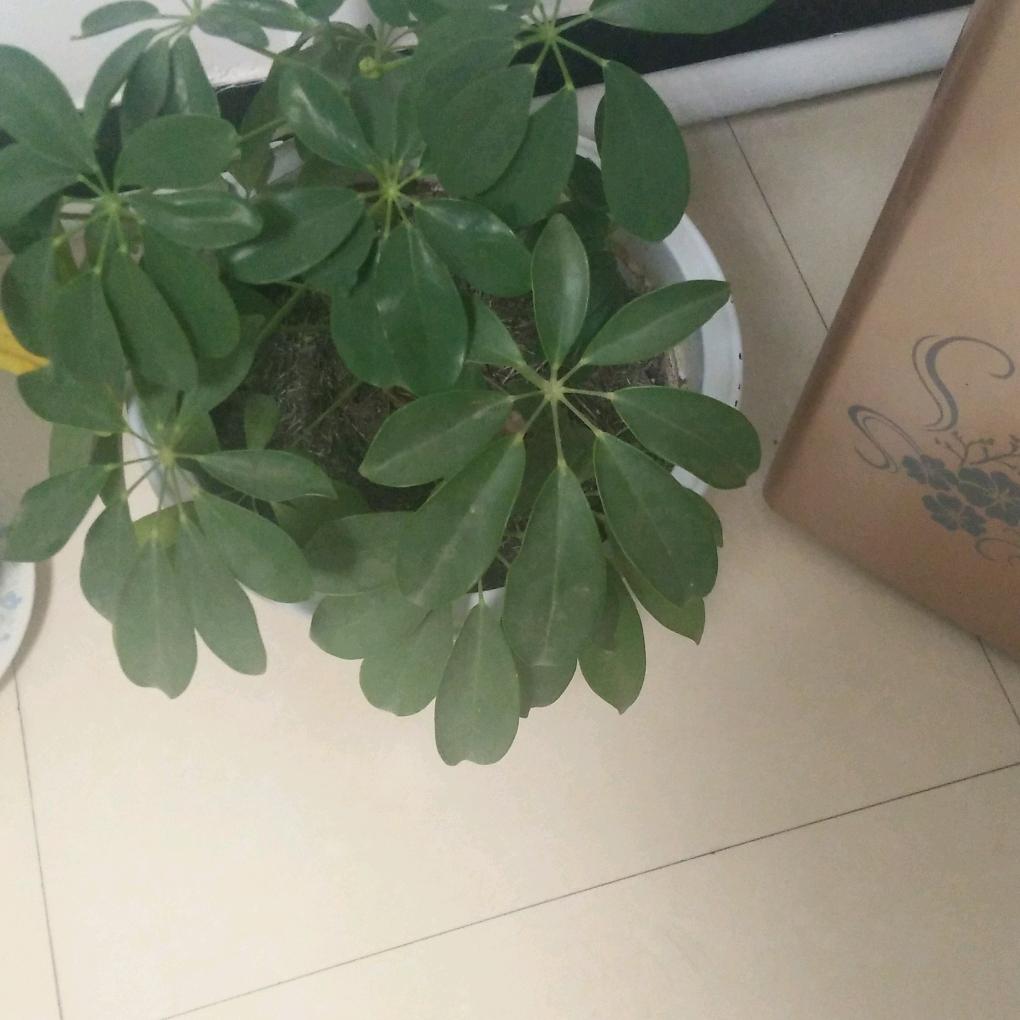 顺其自然