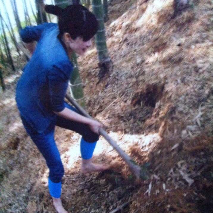 如意