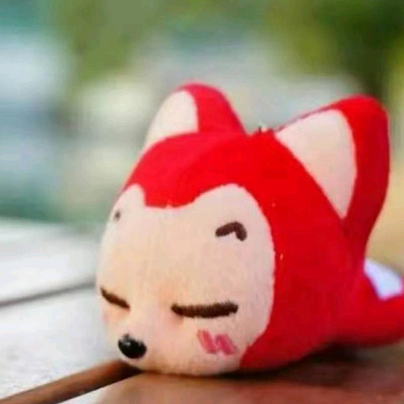 一只小狐狸