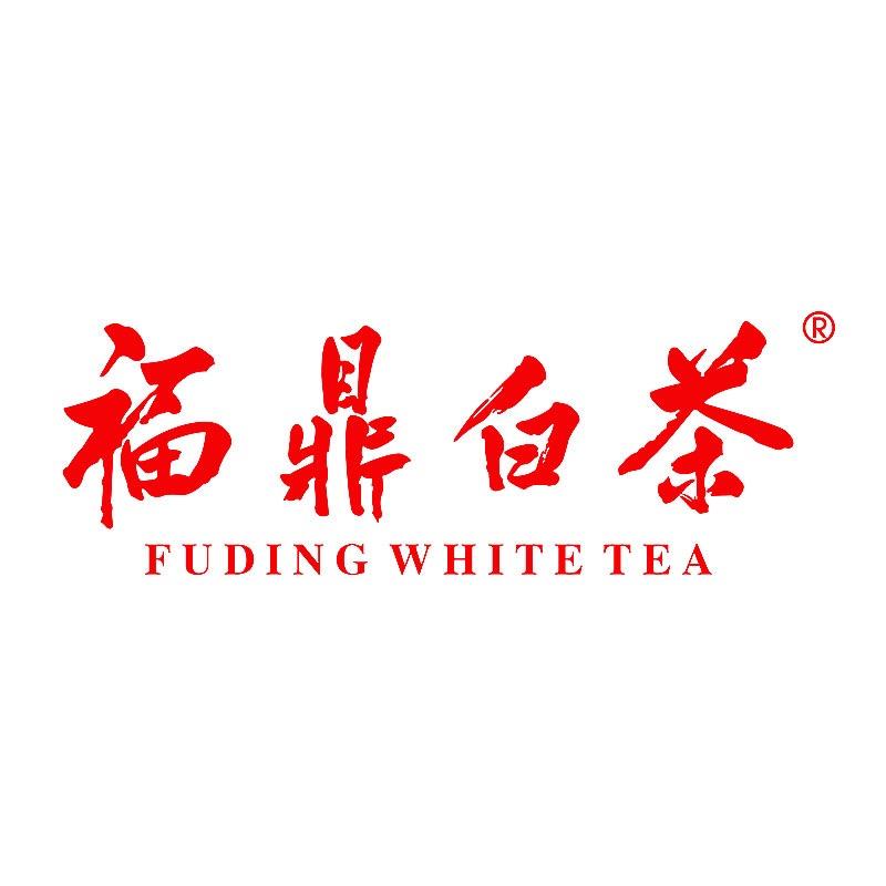 福鼎白茶