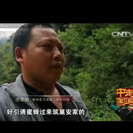 徐氏岩蜂蜜