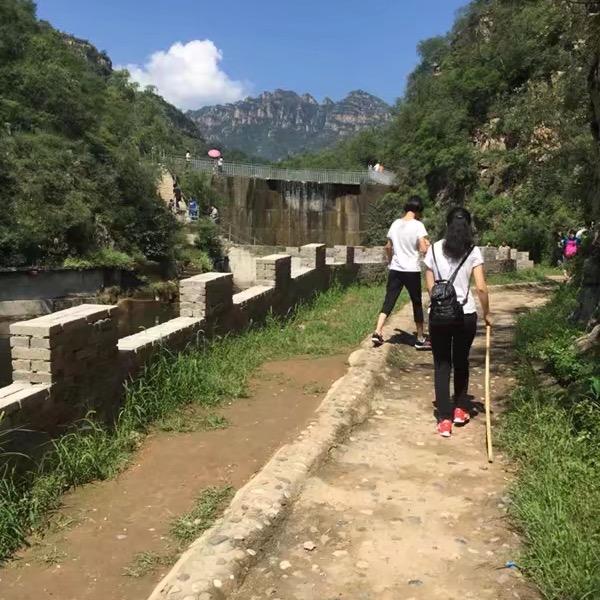 晴天的太阳