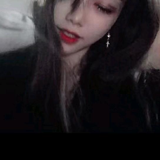 ZL
