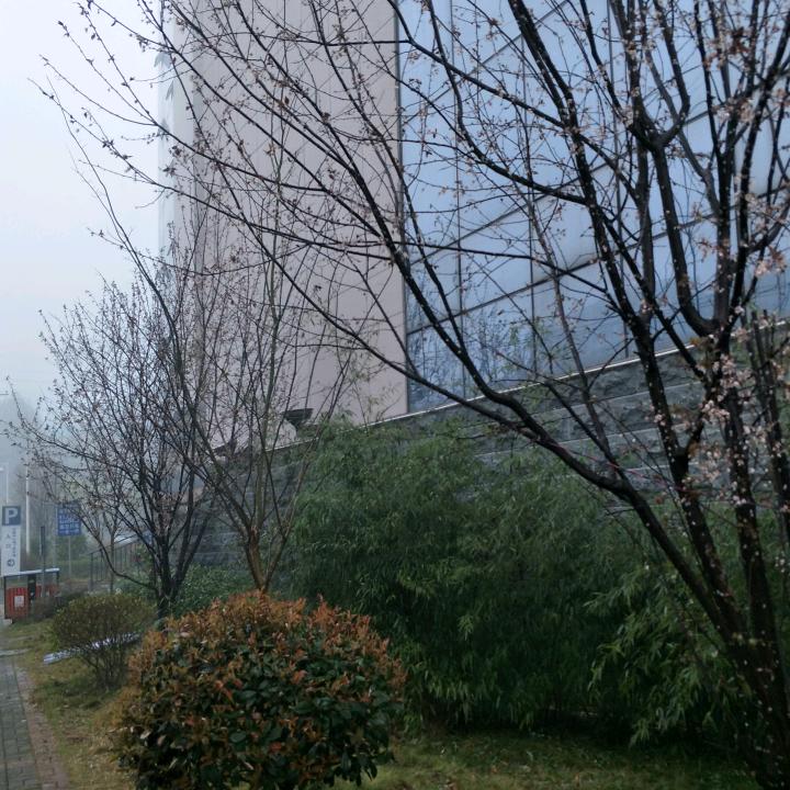 💕᭄馨程꧔ꦿ້໌ᮨ₁ᵌ₁⁴