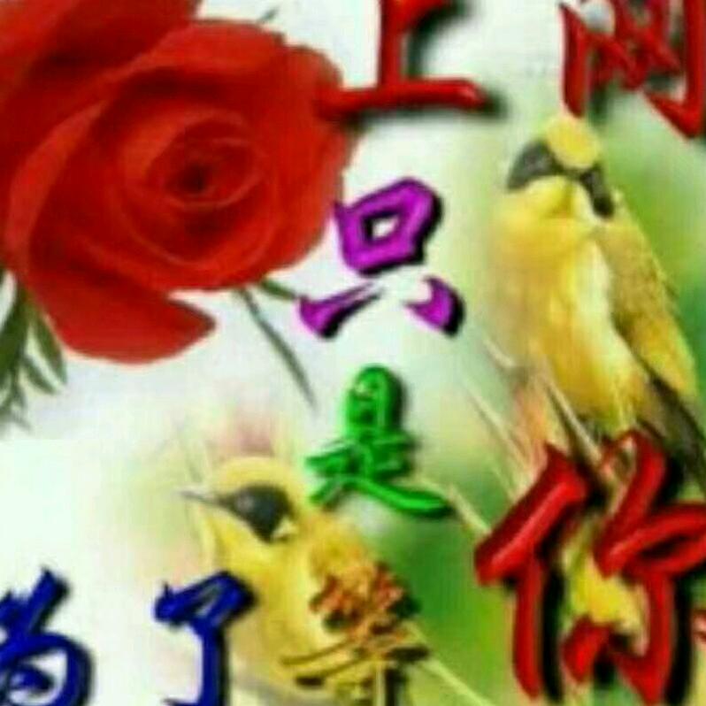 ☞风吹散了诺言☜