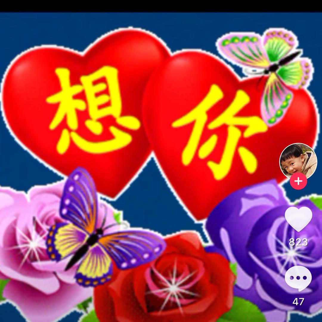 💎雨花石🌹🐀