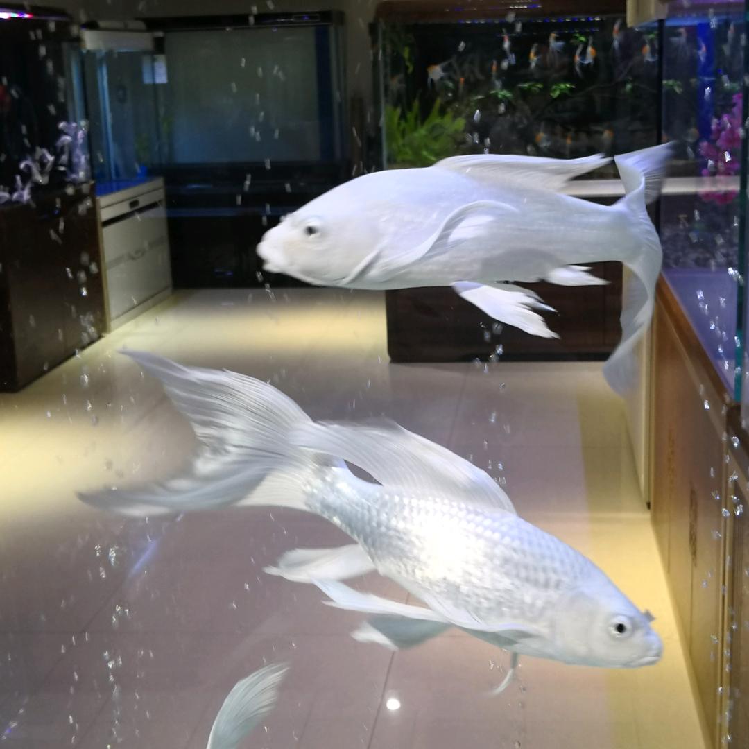 水云间