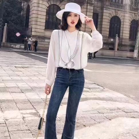 金鱼