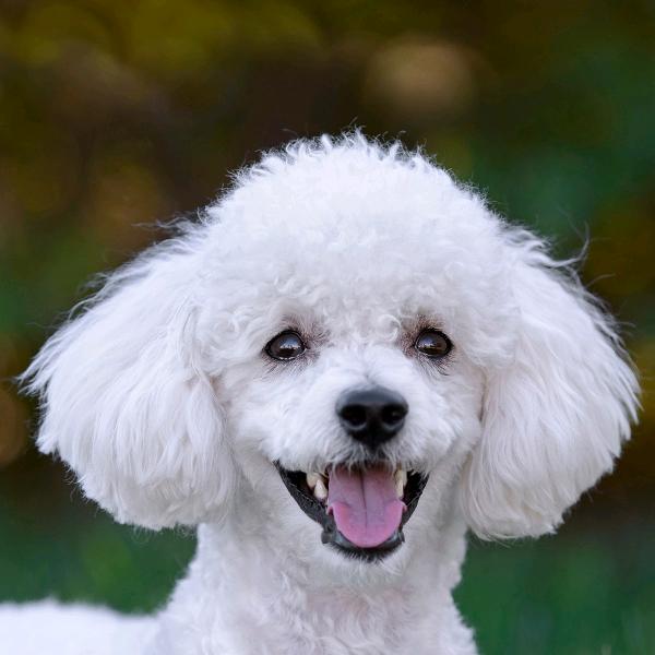 Sẽ Có duyên thôi ,🍎