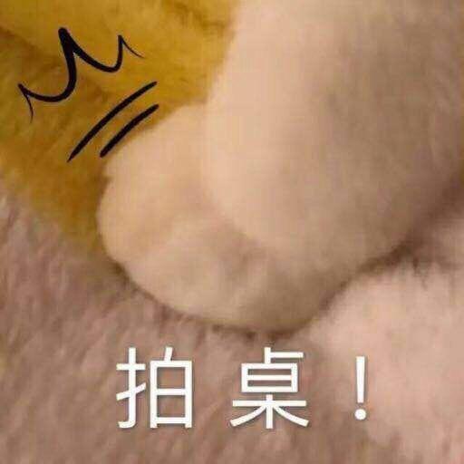 我有最美好的初衷。