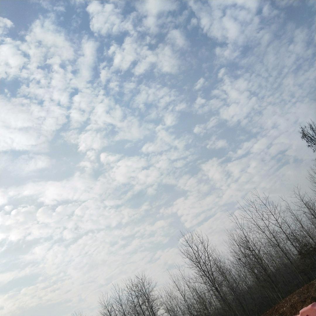 云儿(拒绝连续赞:)