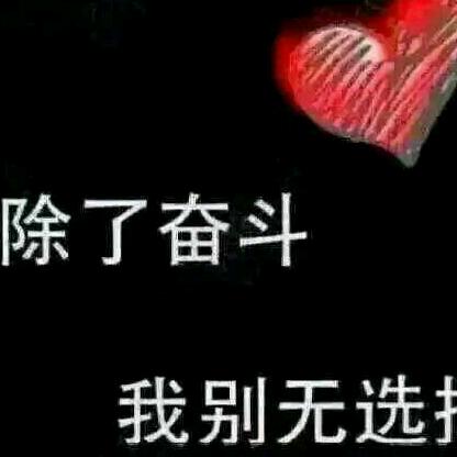 蛋蛋