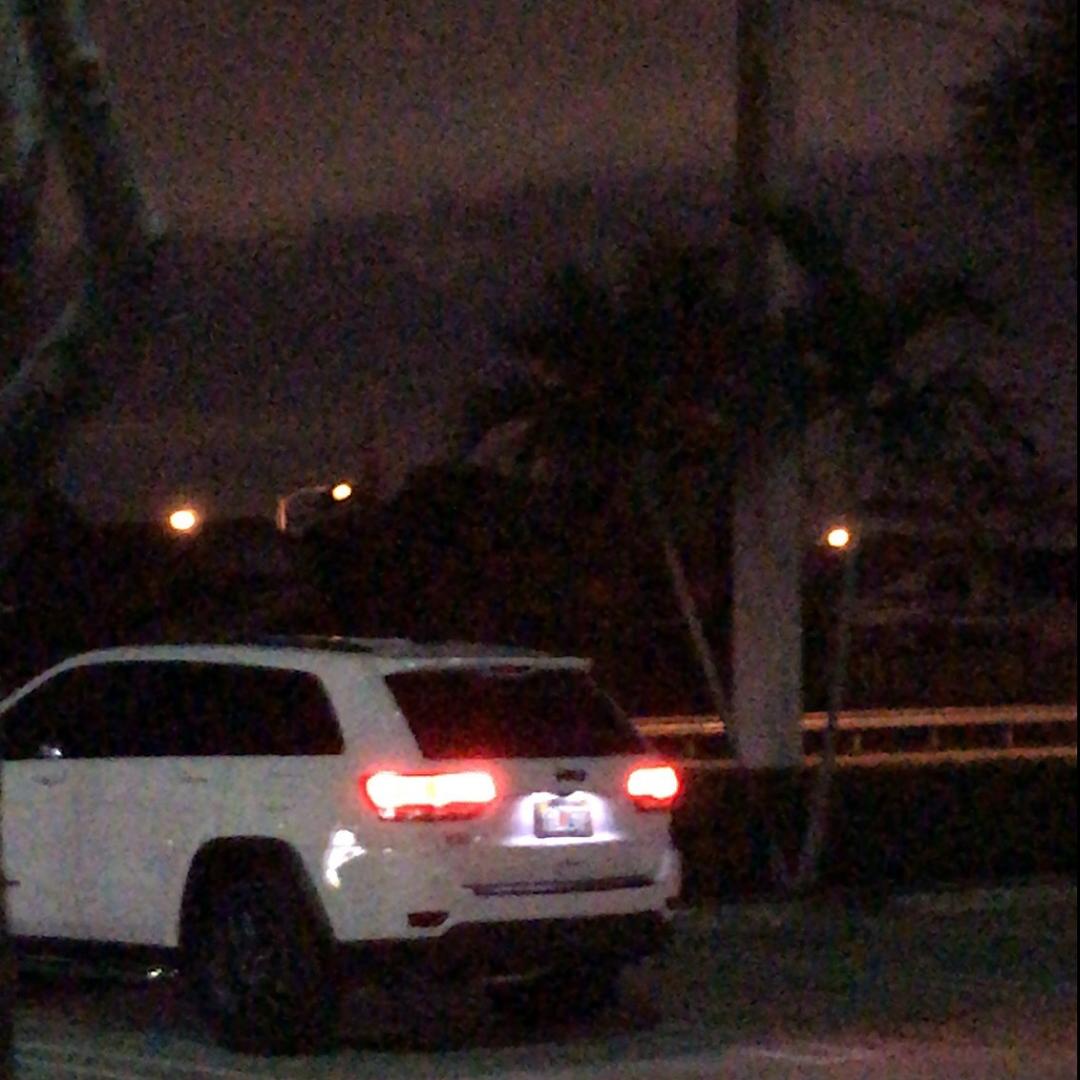 人在北美呀呀呀呀呀