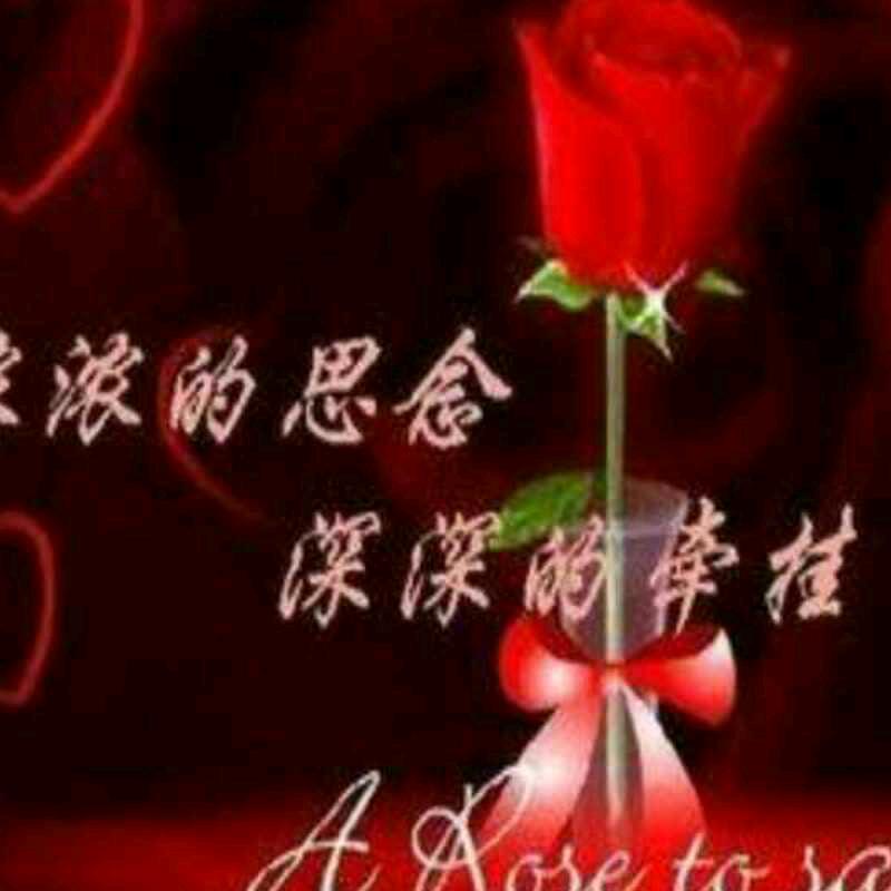 你的世界我来过：