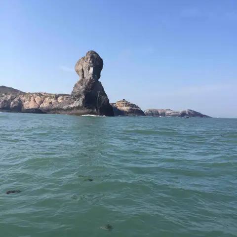 波哥家海鲜