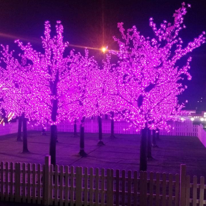 亚敏