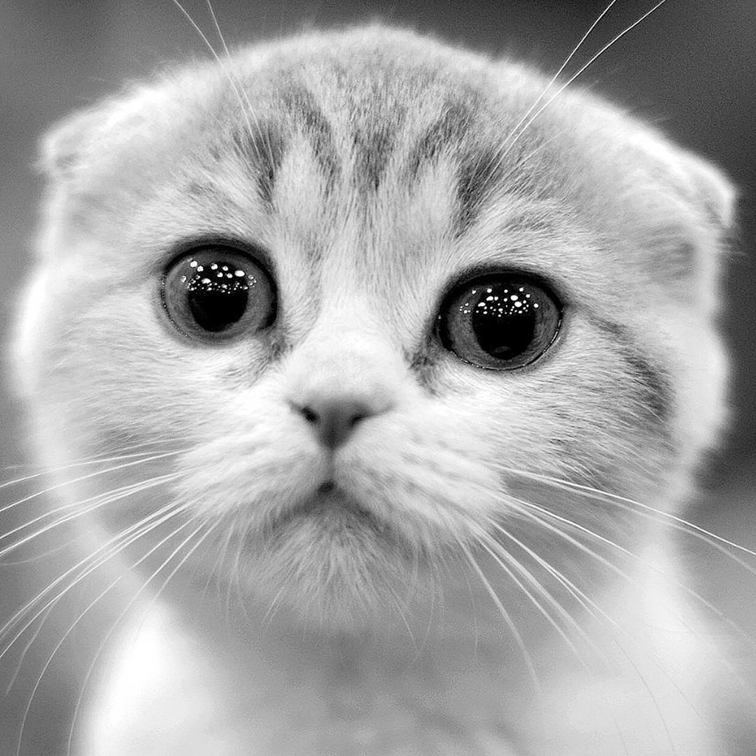 向钱看，往前走，不回头。