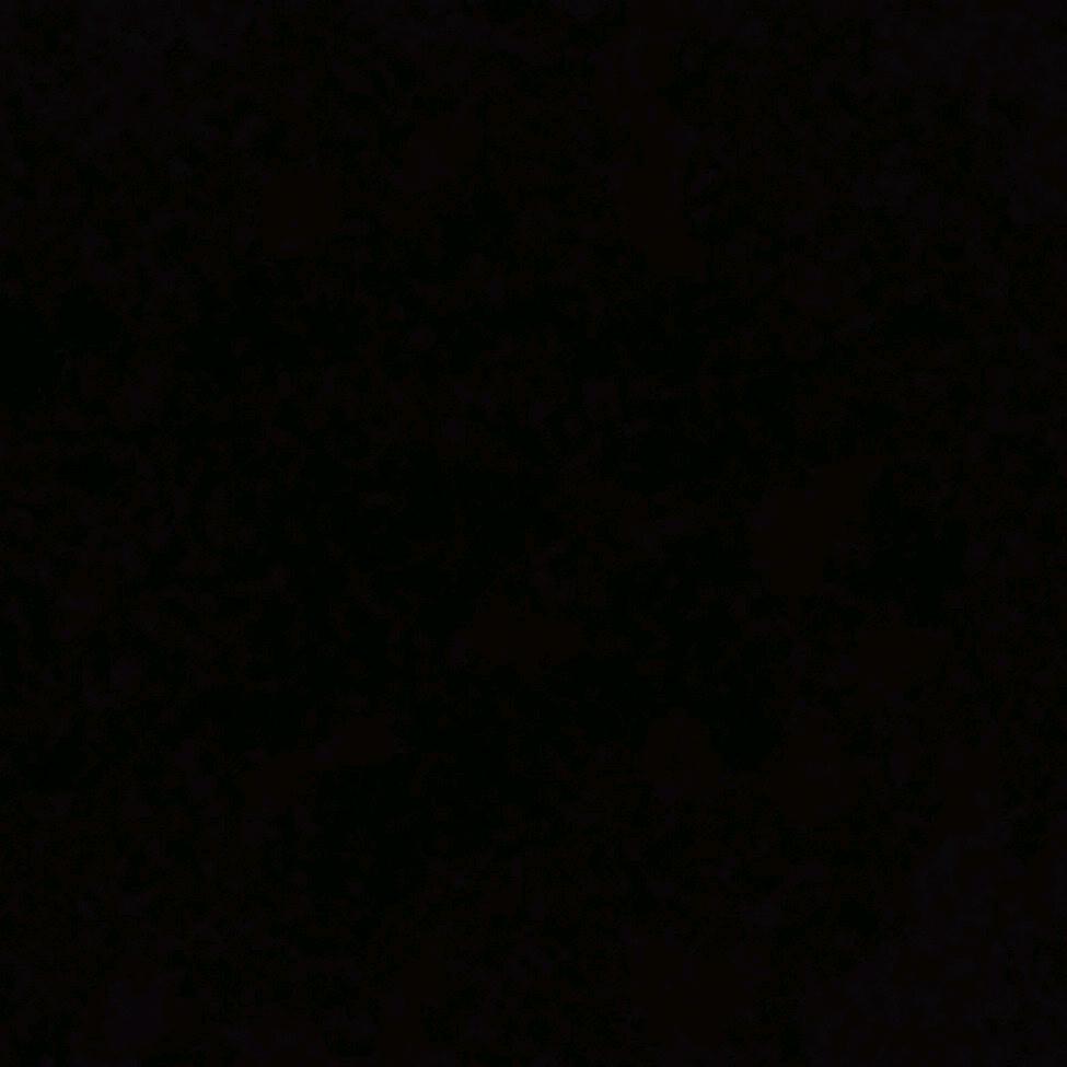 莫小易