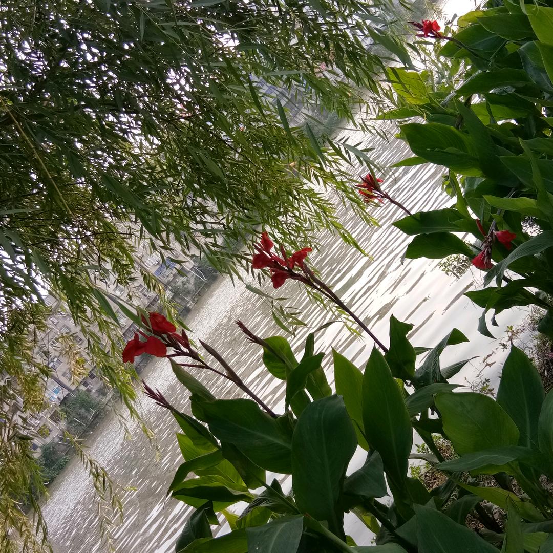 沉默