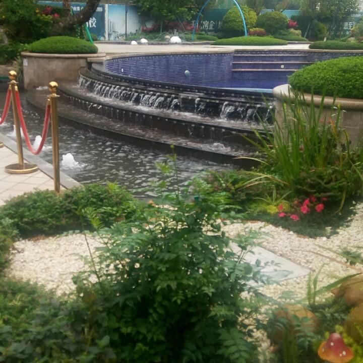 晨