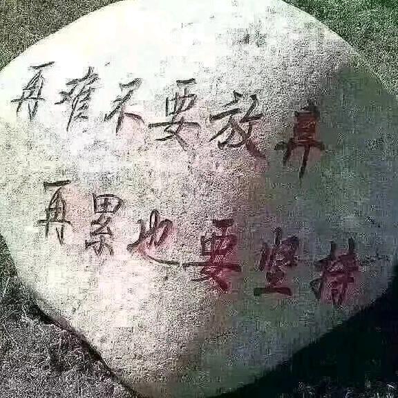任情逍遥