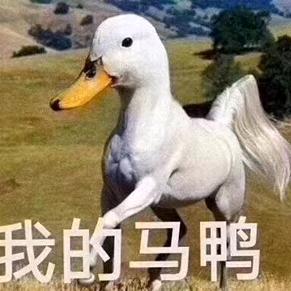 冉冉麻麻