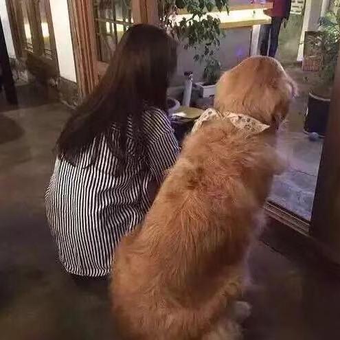 卖家具的郝番喜