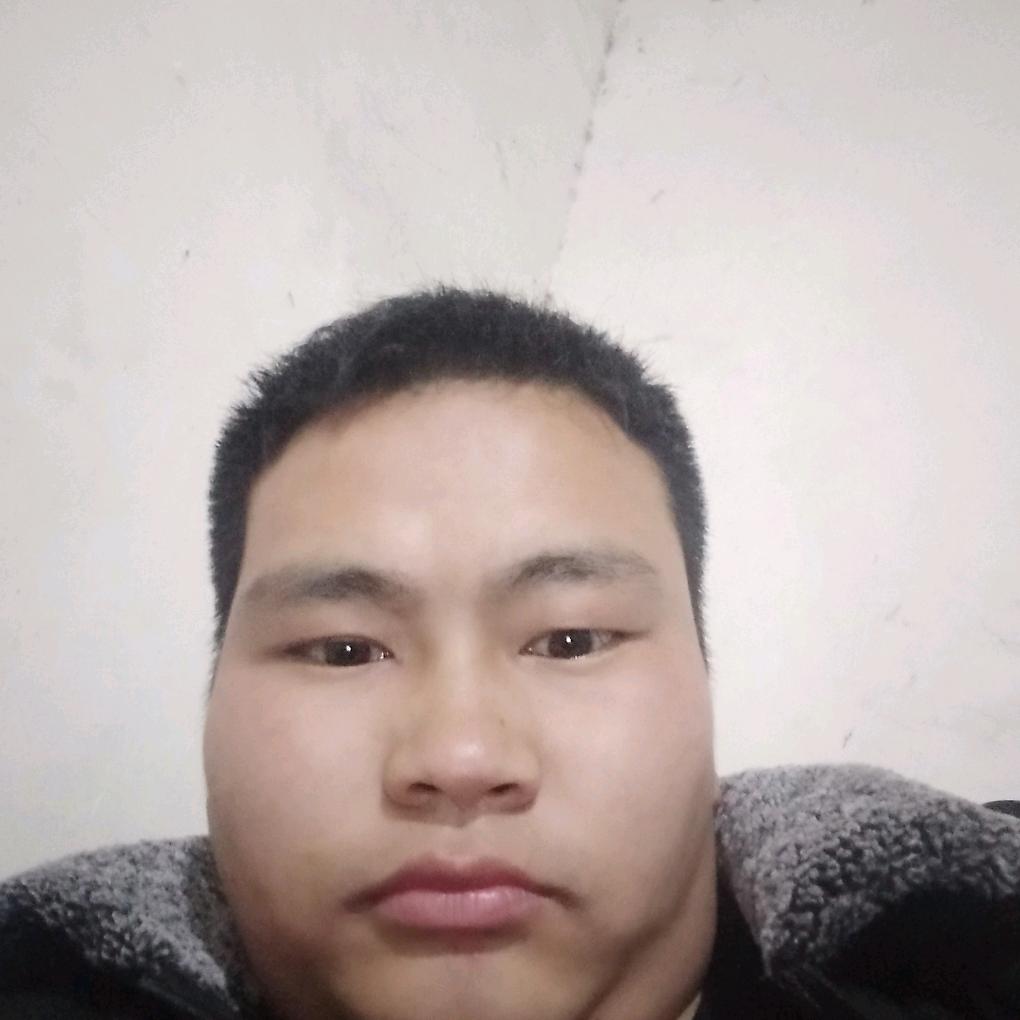 我是单身狗