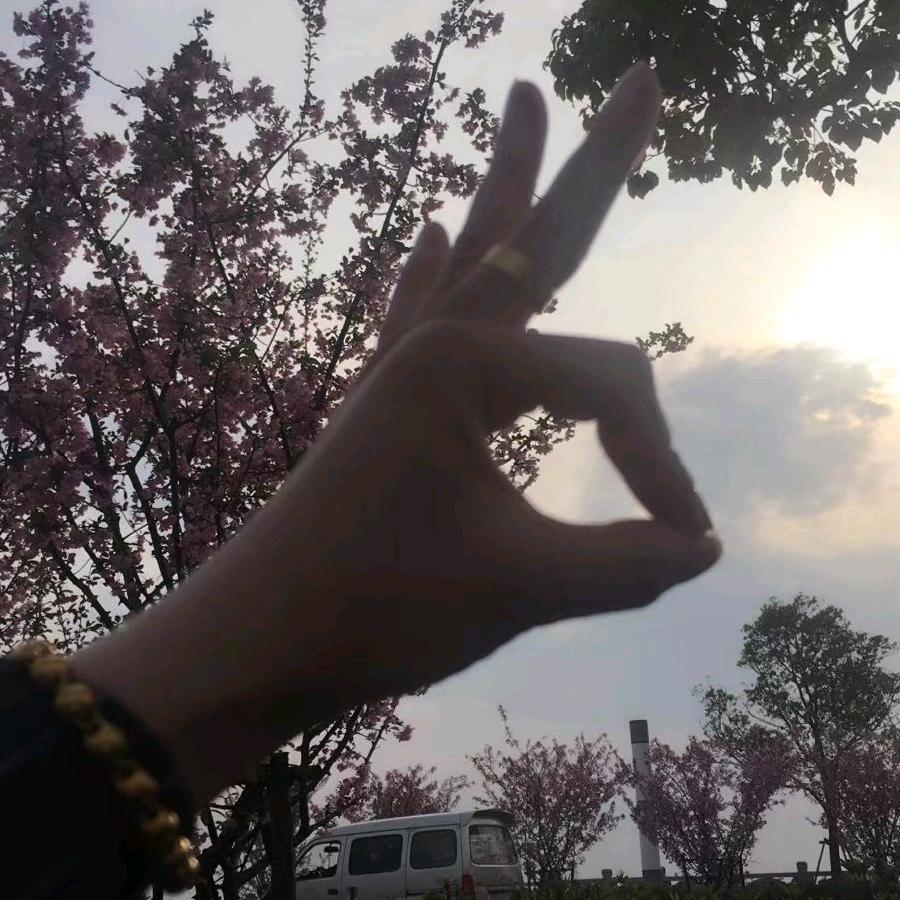 婷婷💞