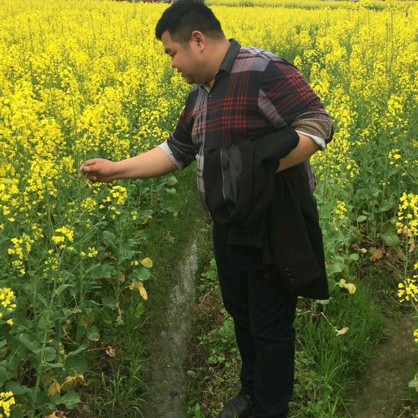 帅的萍水河一腔哭泣