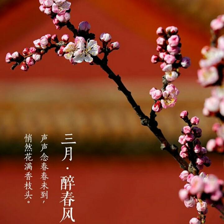 今生有您真好