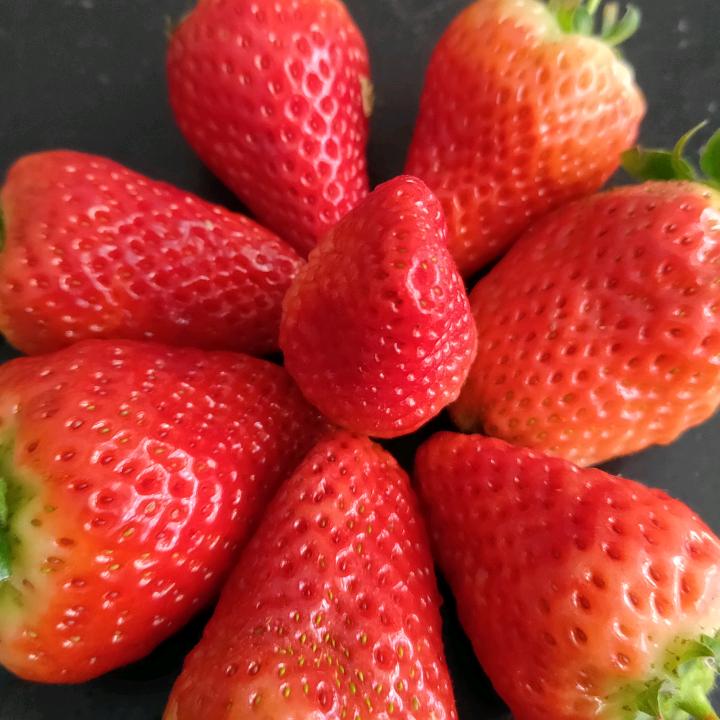 卖木耳、调料的大奥呀