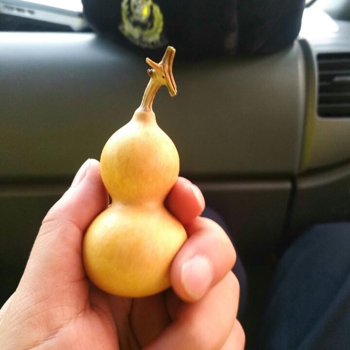 锋芒
