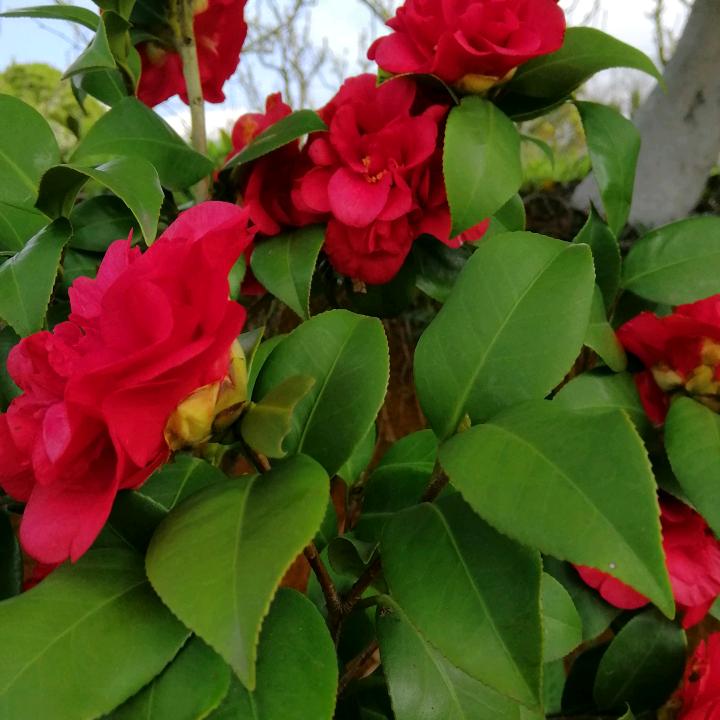 🔥摄像张师傅🔥