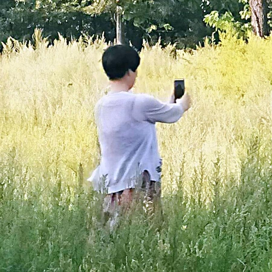 微心情（壹号窗帘工厂店）