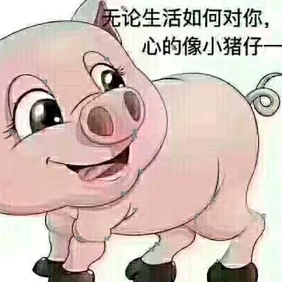 低调的旋律