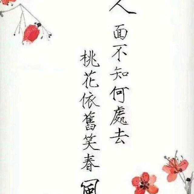 不懂