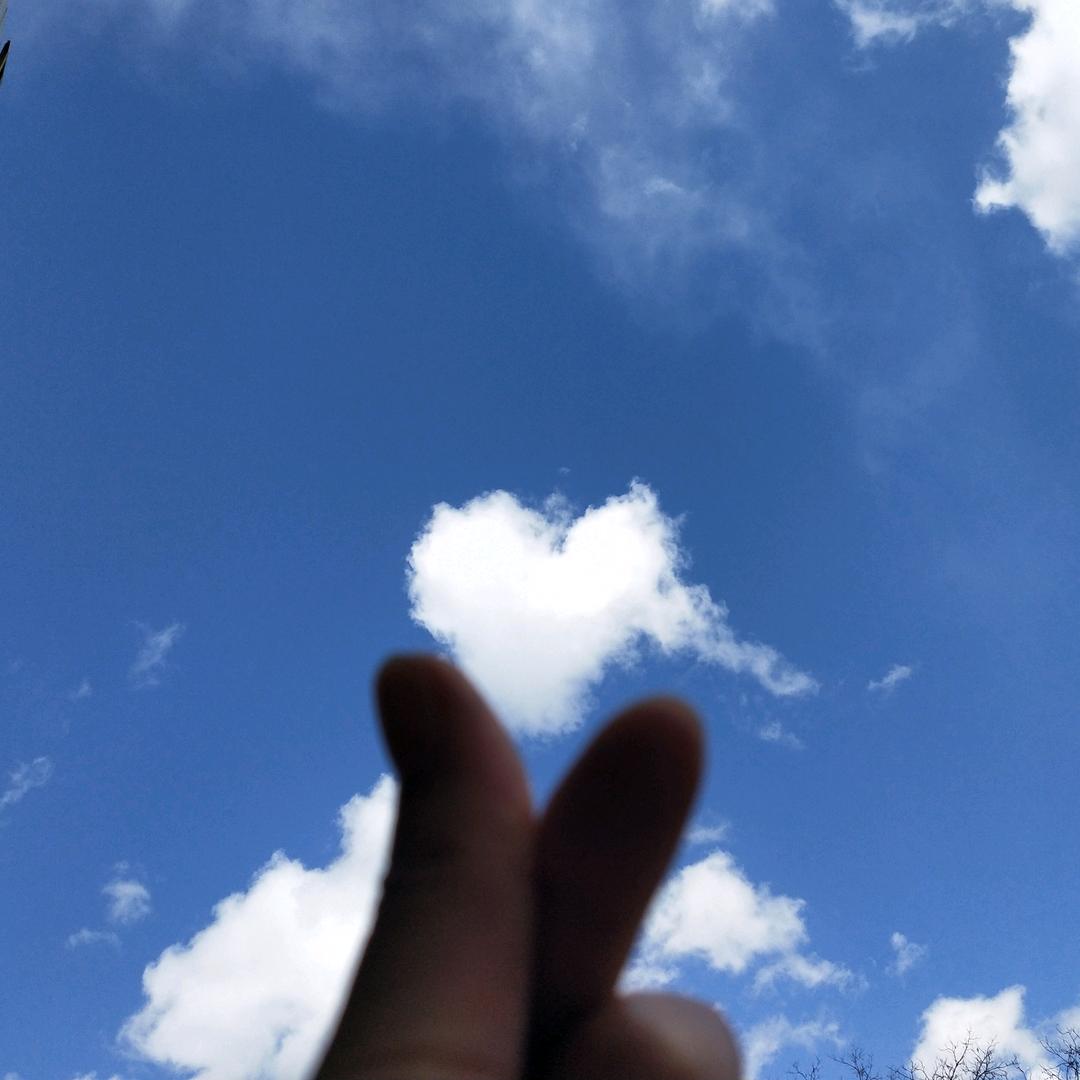 蕴清😍