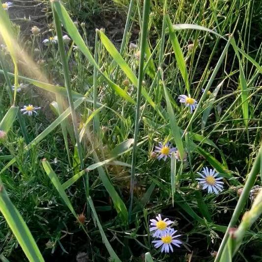 少年小靓仔🇨🇳