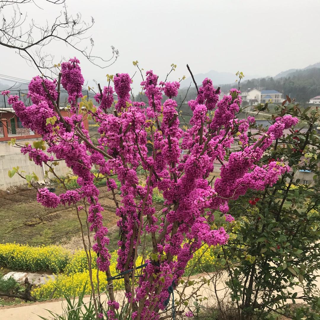 沉默😊