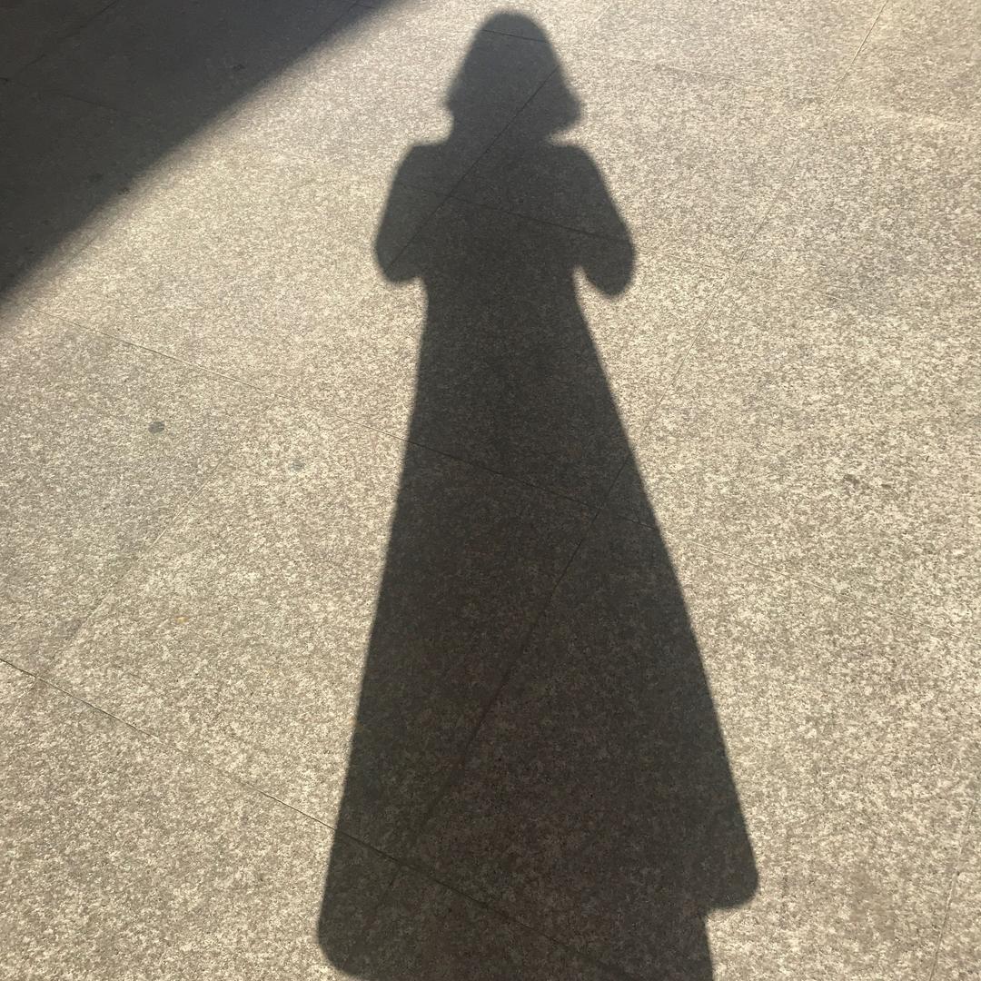 本菇凉百毒不侵