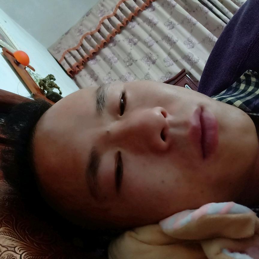 小蜜蜂