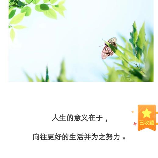小小小小👑燕