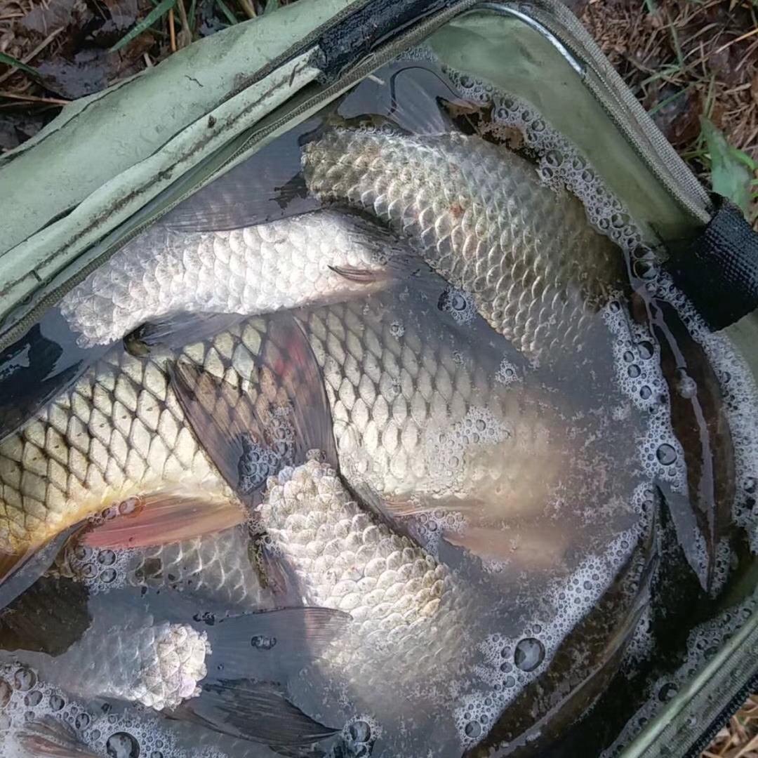 唐俊      再生资源