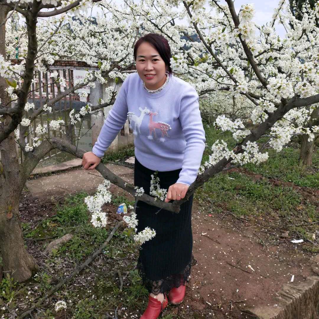 一碗鸡汤