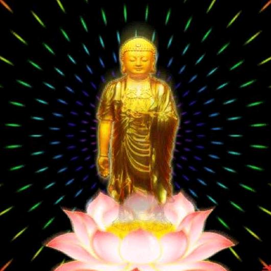 江苏虎甲精密机械有限公司