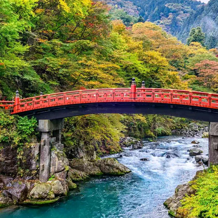 芝麻开花节节高