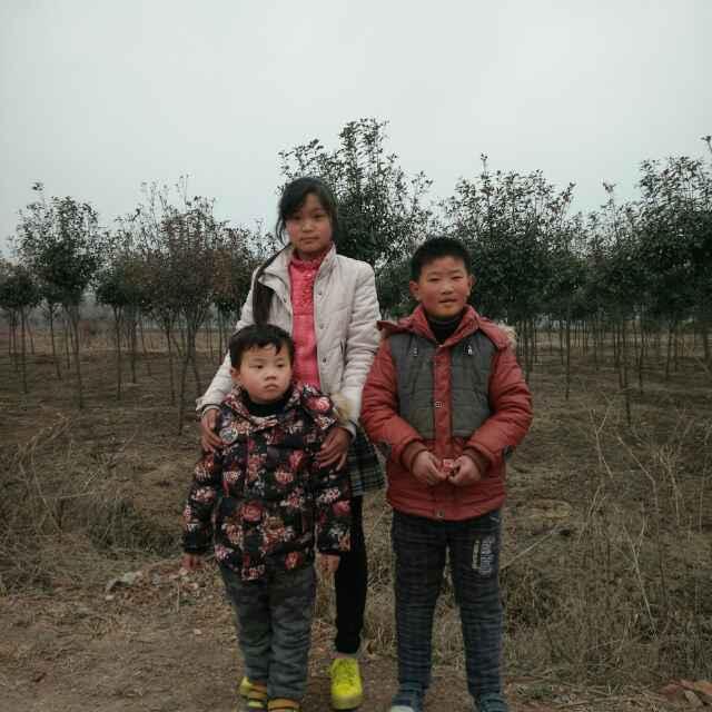 🈚️